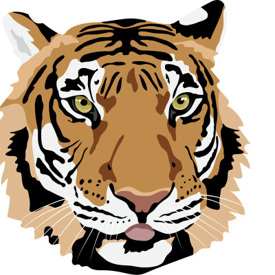 Pourquoi les tigres ont des rayures ? cover