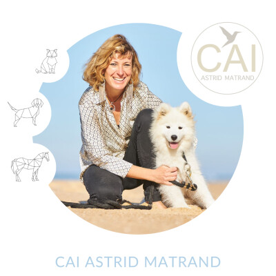 "Votre chien ou votre chat panique au moindre bruit ? Découvrez comment l’apaiser. » cover