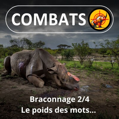 SPÉCIAL Braconnage 2/4: Trouver les mots justes (Julie Lasne) cover
