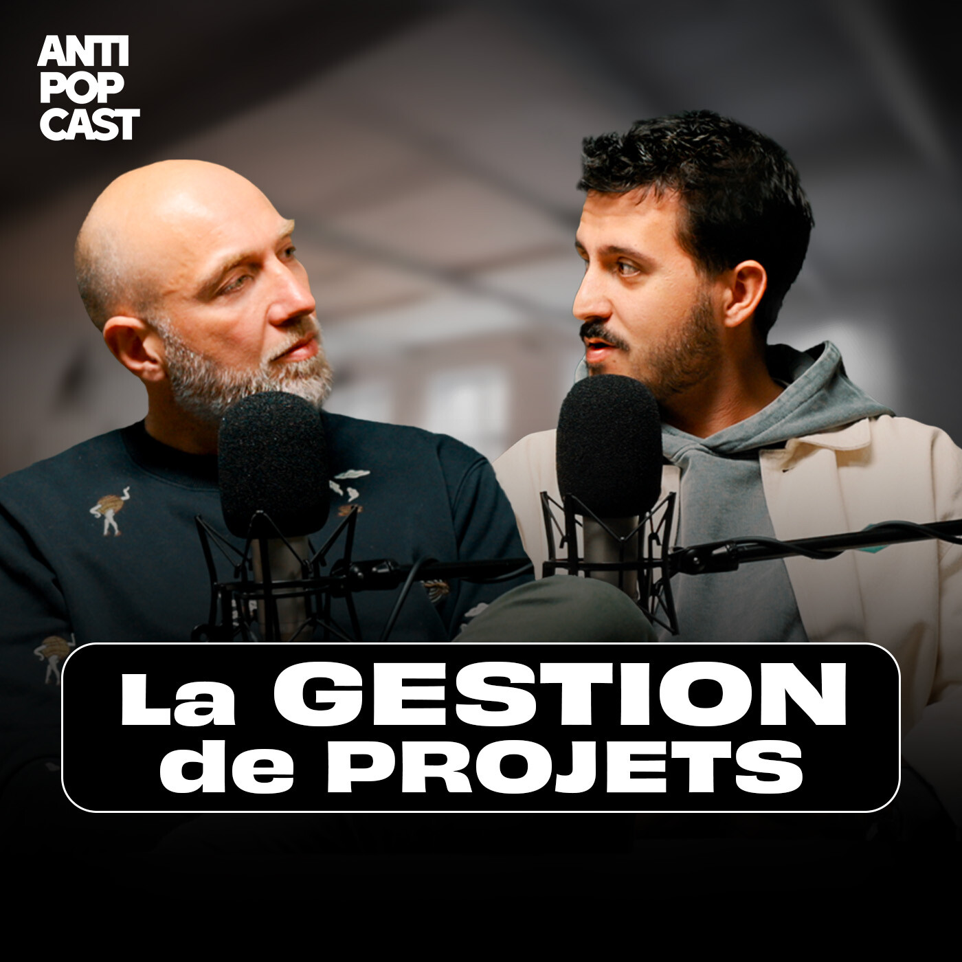 La GESTION de PROJETS