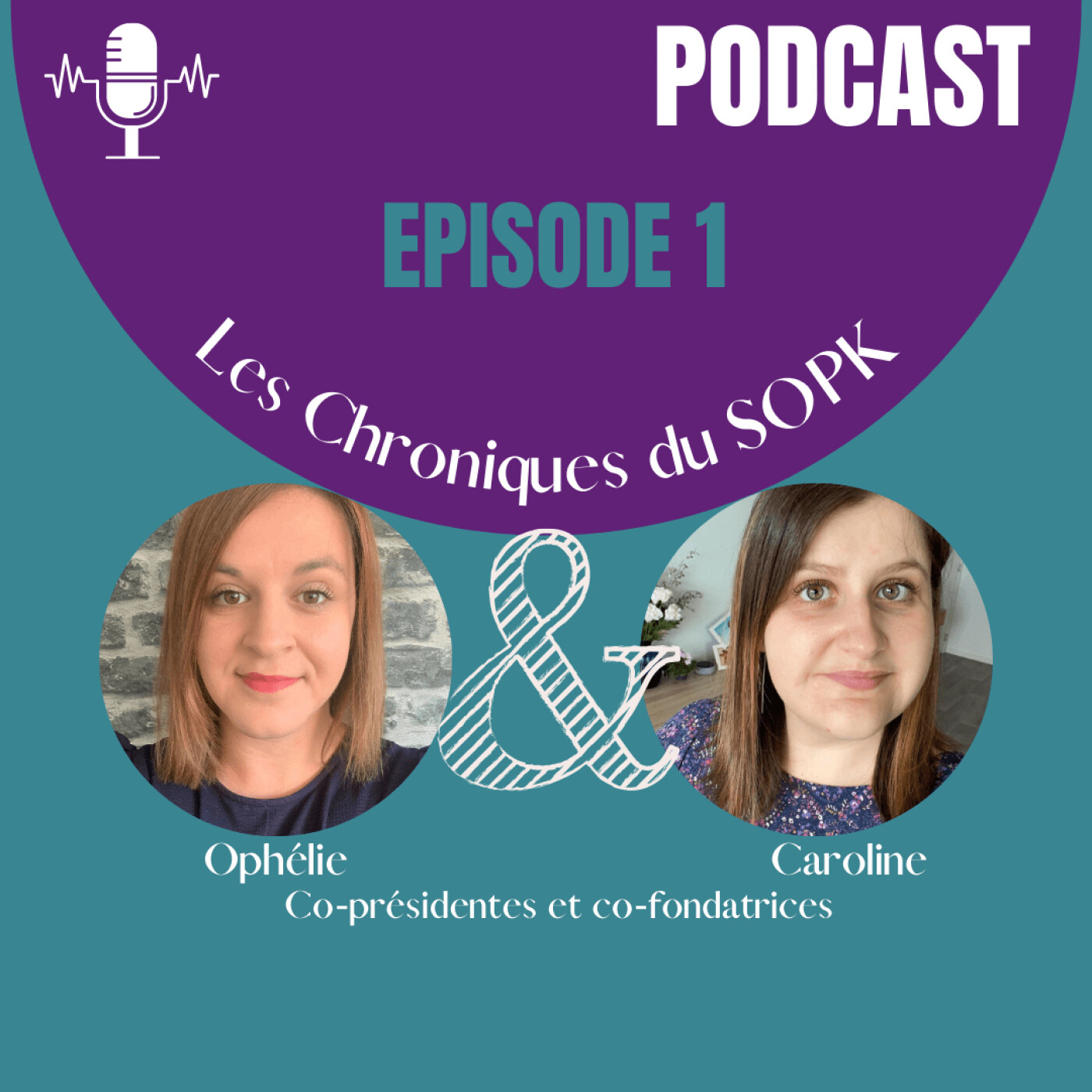 Les Chroniques du SOPK