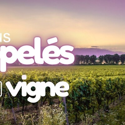 Parole et Évangile du jour | Mercredi 23 août • Le Seigneur notre force cover