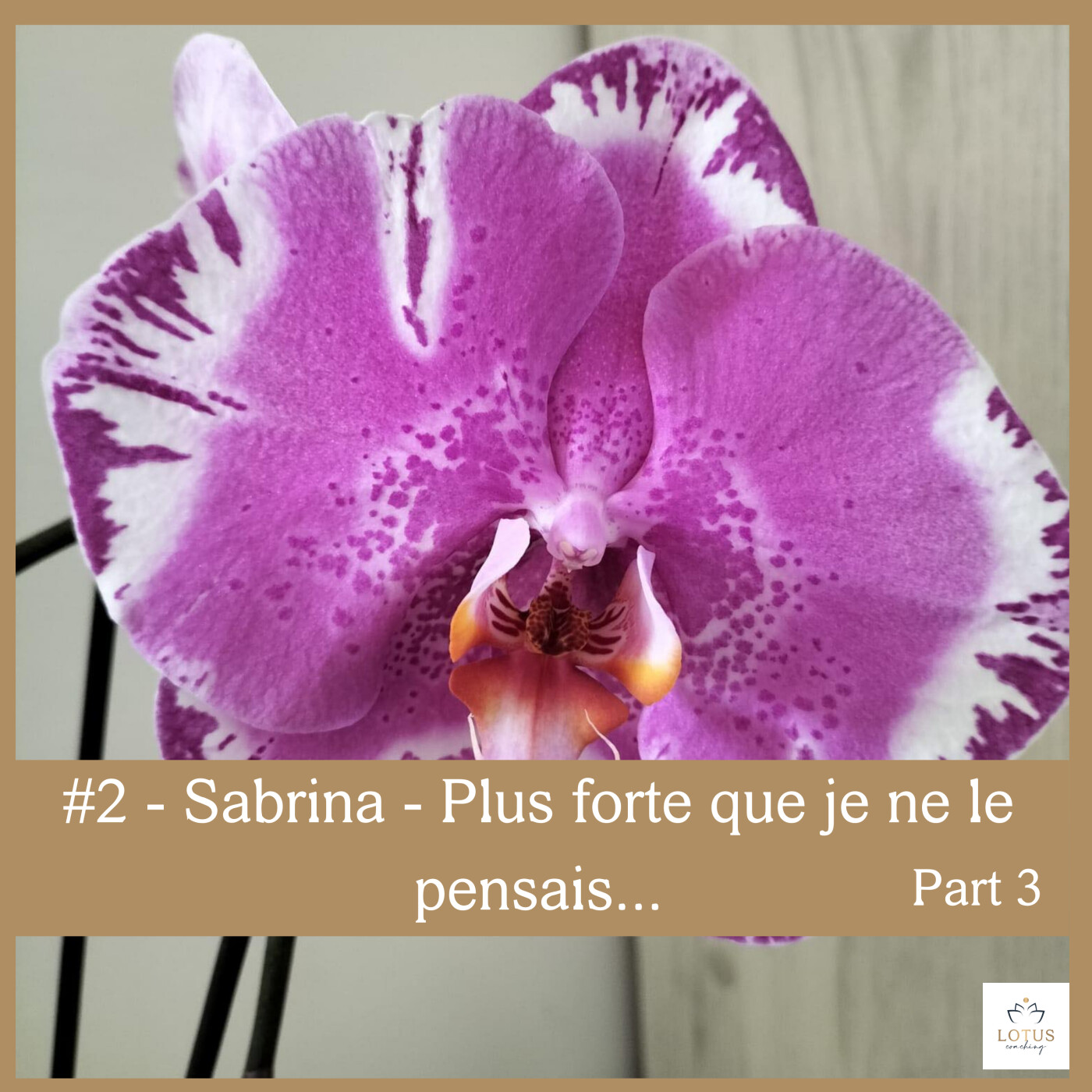 #2 - Plus forte que je ne le pensais - Sabrina episode artwork
