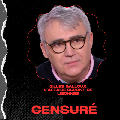 Xavier Dupont de Ligonnès : l’ancien enquêteur livre sa vérité cover