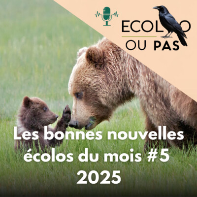 5 bonnes nouvelles écolos d’août 2025 cover