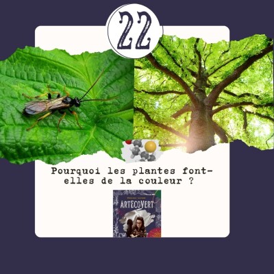 Pourquoi les plantes font-elles de la couleur végétale et en font-elles vraiment ? cover