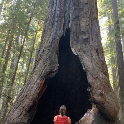 Mon voyage m'a-t-il donné envie de continuer le podcast ? cover