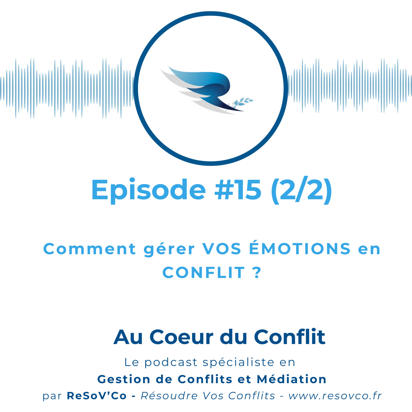 15. COMMENT GÉRER vos ÉMOTIONS en conflit ? (2/2) 15. COMMENT GÉRER vos ÉMOTIONS en conflit ? (2/2)