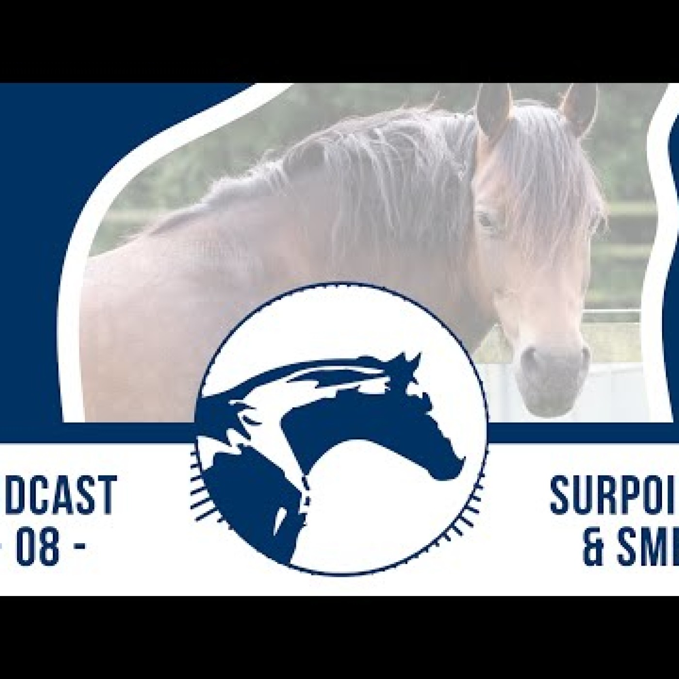 Podcasts vétos Reverdy Nutrition Équine 🎙