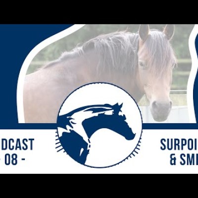 🎙 Podcast by Reverdy #8 | Surpoids & SME cover