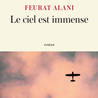 Sur les traces d’un disparu : l’oncle que le ciel a emporté ! cover