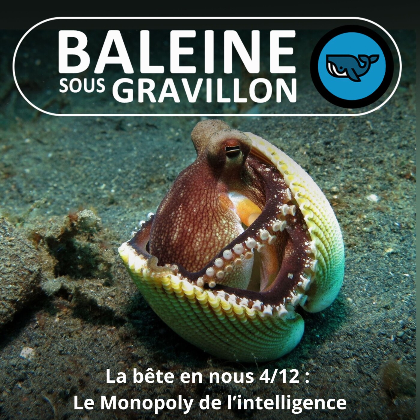 Baleine sous Gravillon