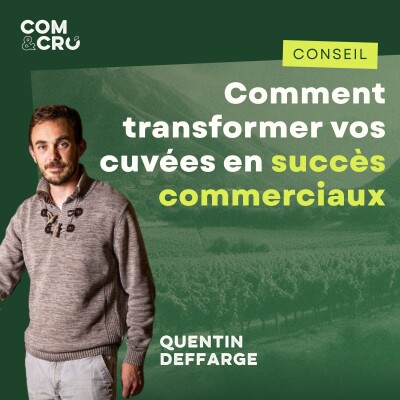 Comment transformer vos cuvées en succès commerciaux : les conseils de Quentin Deffarge, vigneron et commercial cover
