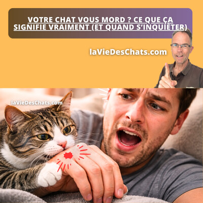 VOTRE CHAT VOUS MORD ? CE N'EST PAS FORCÉMENT GRAVE … VOILÀ POURQUOI cover