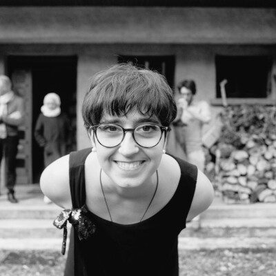 Stella, le chemin cover