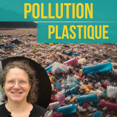 INTERVIEW - Pollution plastique | Marie-France Dignac cover