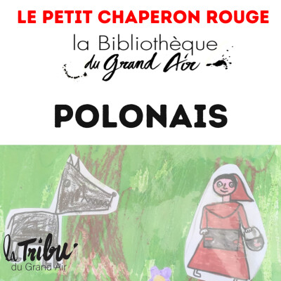 POLONAIS Kamishibaï Tribu du grand air cover