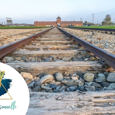 Hypnose Transpersonnelle 235 : Enfant déporté, Femme libre et indépendante, La joie cover