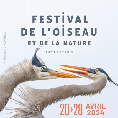 Quand la Baie de Somme s'offre à nous ! cover