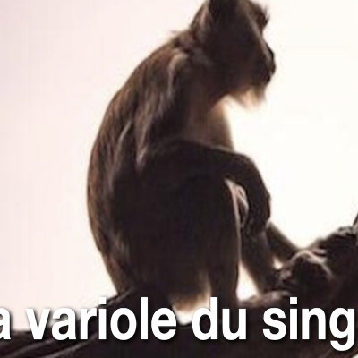 La variole du singe - Pr Dominique Baudon cover