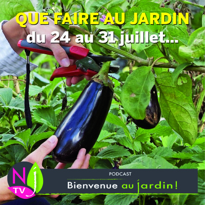 QUE FAIRE AU JARDIN DU 24 AU 31 JUILLET ? cover