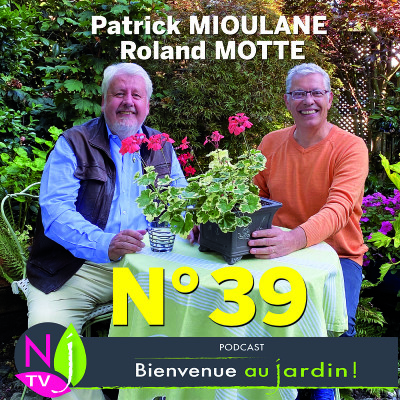 EMISSION #39 du 22 JANVIER 2022 - L'INTEGRALE cover