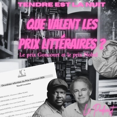 Prix Goncourt, Prix Nobel : que valent vraiment les prix littéraires ? | TELN 28 cover