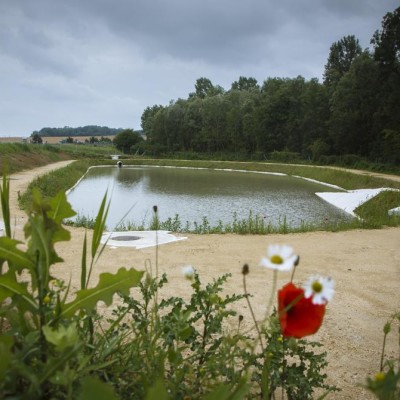 À quoi servent les bassins d'eau le long de l'autoroute ? cover