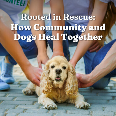 Rooted in Rescue: How Community and Dogs Heal Together cover
