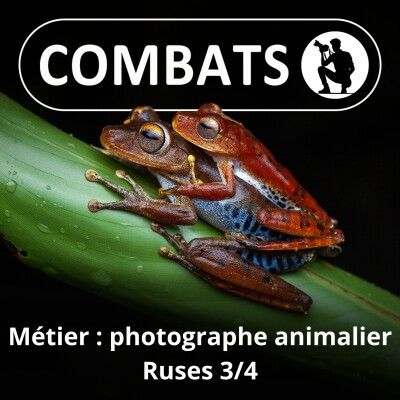 S02E48 Profession photographe animalier 3/4 : Ruses (Frank "Canon" Deschandol) cover