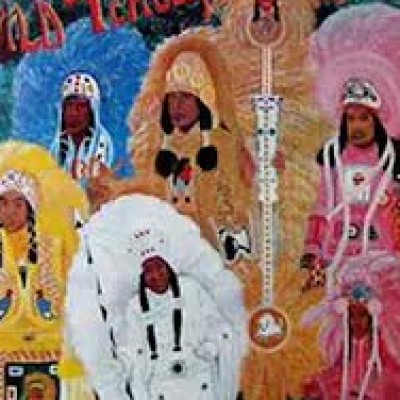 Micros & sillons 5 // 8 - THE WILD TCHOUPITOULAS - Hey pocky a way cover