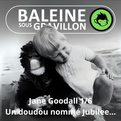 S07E21 Jane Goodall 1/6 : Il était une fois un doudou nommé Jubilee (Emmanuelle Grundmann) cover