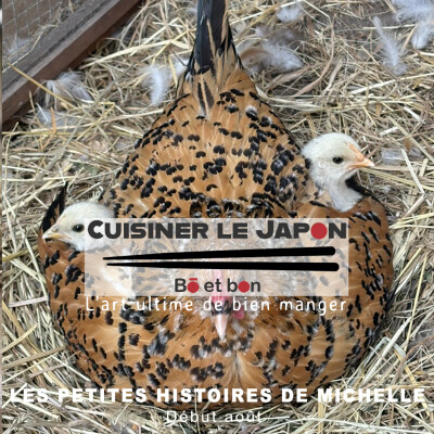 LES PETITES HISTOIRES DE MICHELLE - Début août cover