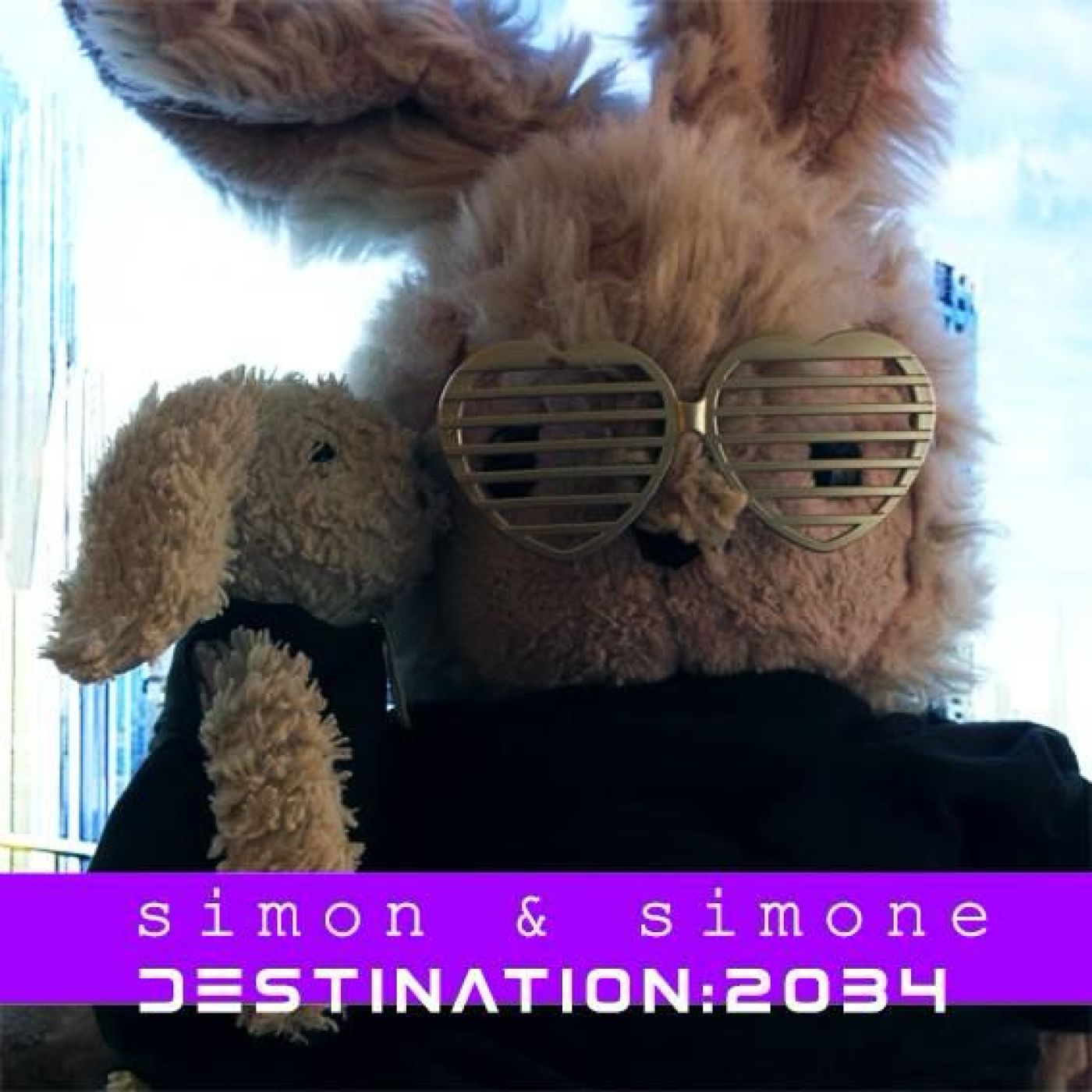 Simon et Simone Discorama