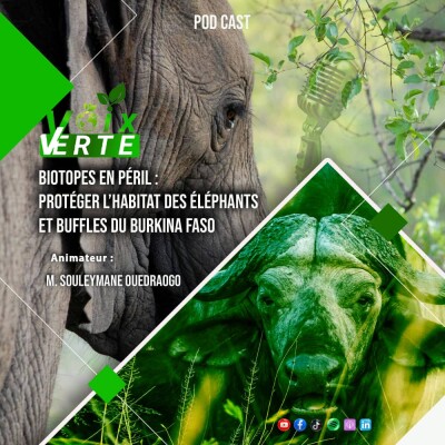 Biotopes en péril: Protéger les habitats des Eléphants et Buffles du Burkina Faso cover