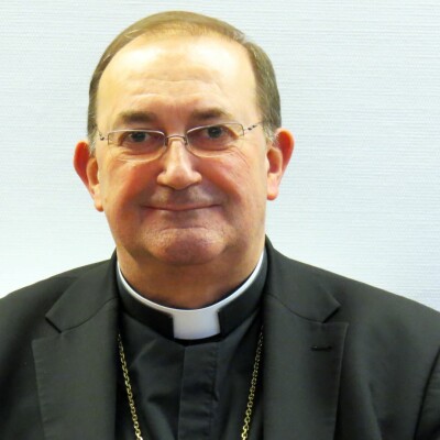 Mgr Guy Harpigny: « si on compte ceux qui adhèrent, on va encore pleurer pendant cinquante ans » cover