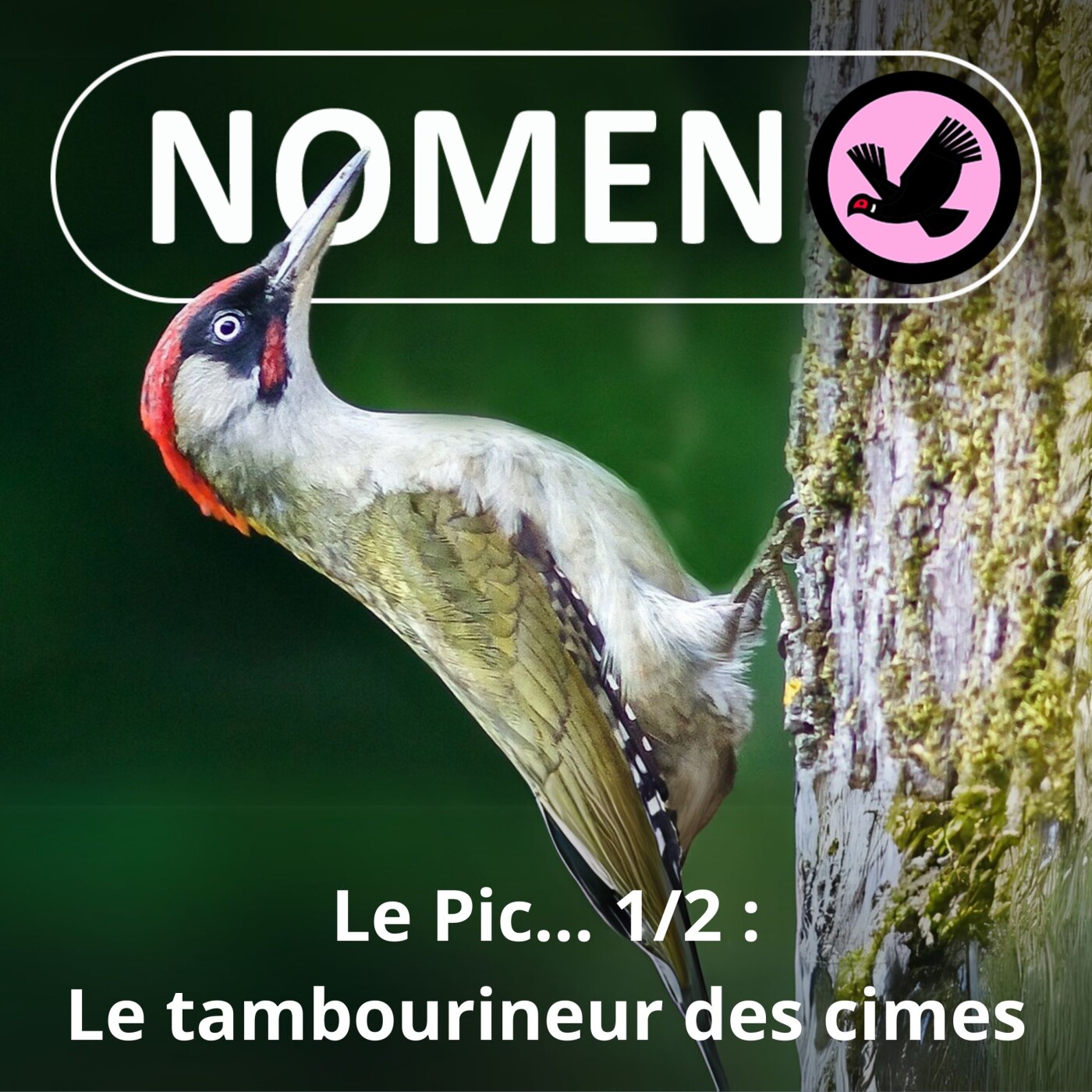 Nomen