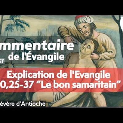 Commentaire de l'Évangile | Homélie – Dimanche 10 juillet • Etre capables d’avoir de la compassion cover