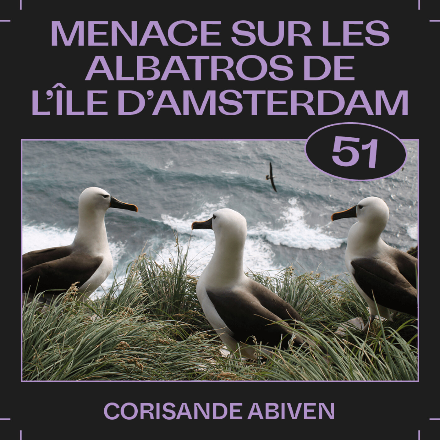 #51 â Menace sur les albatros de l'Ăźle d'Amsterdam, avec Corisande Abiven