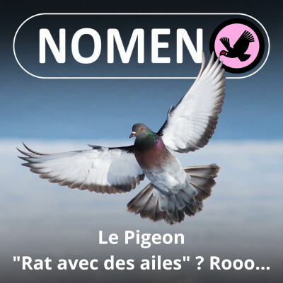 S01E22 Le Pigeon : Du "rat with wings" de Woody Allen aux colombophiles cover