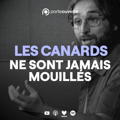 Les canards ne sont jamais mouillés [05/07/2026] cover