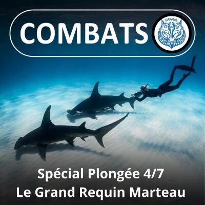 SPÉCIAL PLONGÉE 4/7 : Rencontre avec le Grand Requin Marteau (Laurent Ballesta) cover