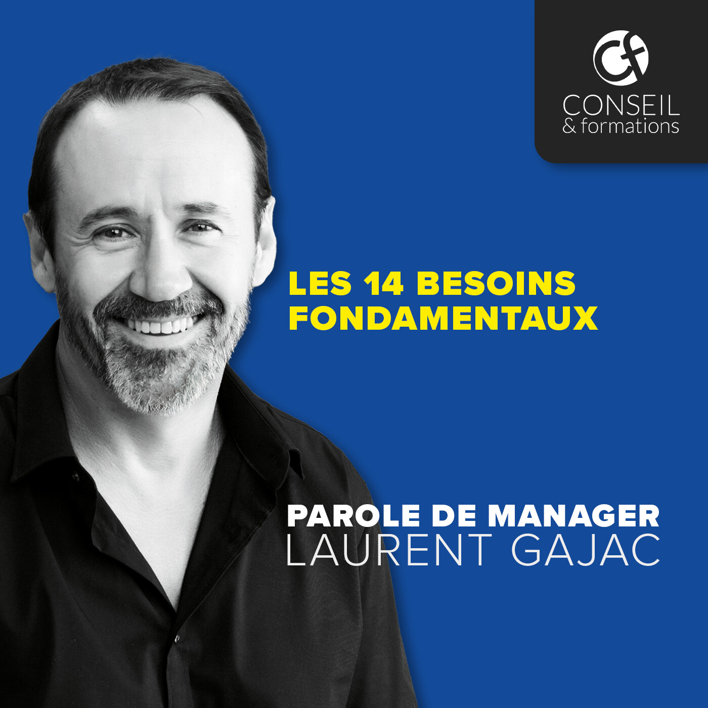 Les 14 besoins fondamentaux episode artwork