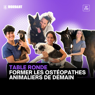 #49 - Table ronde : Former les ostéopathes animaliers de demain cover
