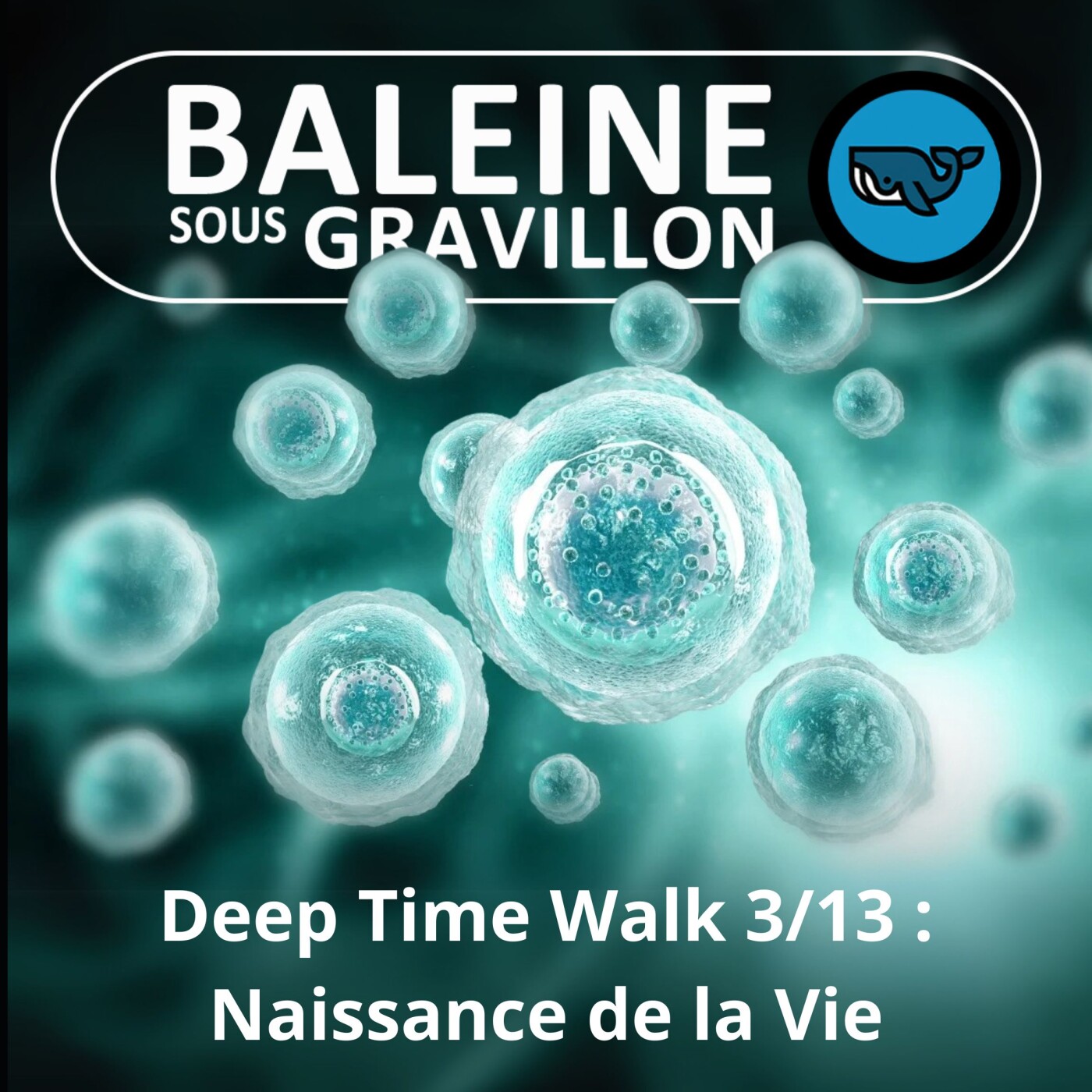 Baleine sous Gravillon