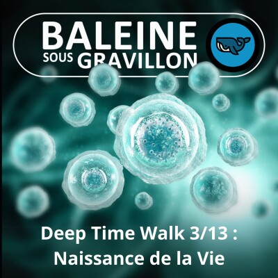 S06E64 La Marche du temps profond 3/13 : Naissance de la Vie cover