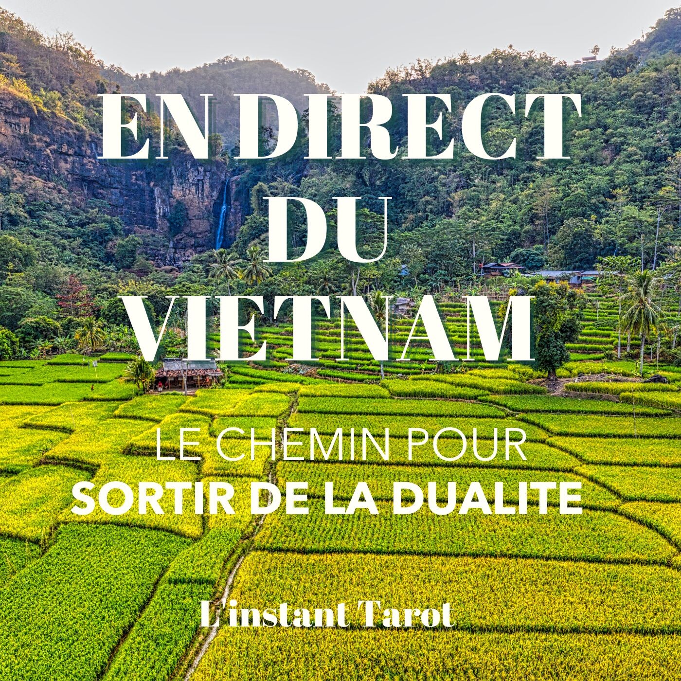 L'INSTANT TAROT au VIETNAM 🌴 Le chemin pour sortir de la DUALITE 🌓 episode artwork