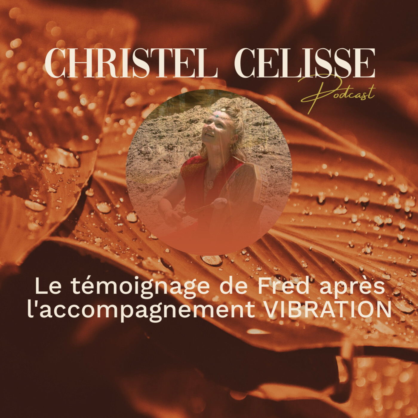 J'ai perdu 15kg et retrouvé mon âme : Le témoignage de Fred après l'accompagnement VIBRATION episode artwork