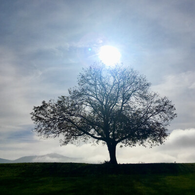 S'alléger au quotidien cover