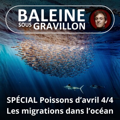 SPÉCIAL Poissons d'avril 4/4 : Les migrations sous-marines (Bill François) cover